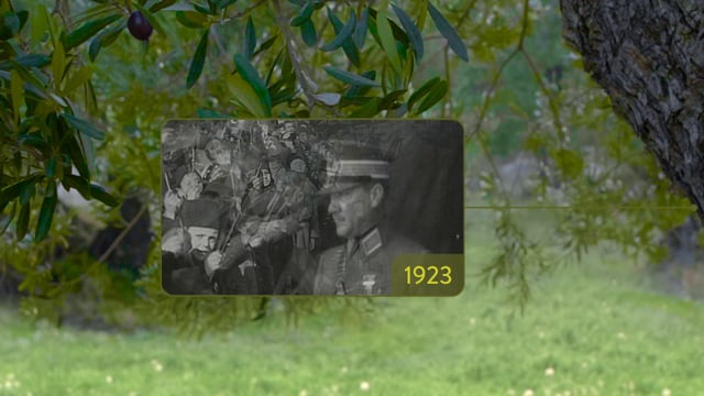 Komili “Anıt Ağaç”